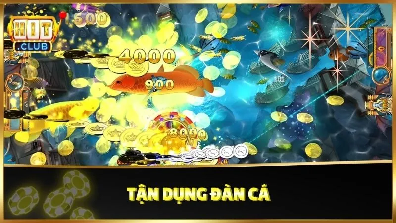 Tận dụng đàn cá
